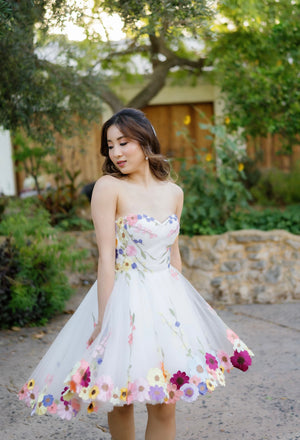 Daisy